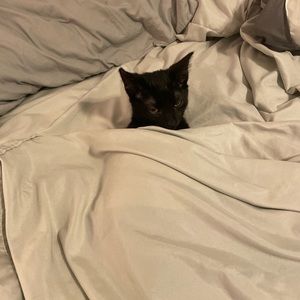 Meet your Posher, Nikki